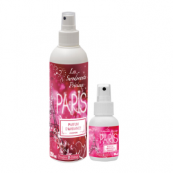 PARFUMS D’ATMOSPHERE PROPRE ODEUR LONDRES NEW YORK PARIS MADRID